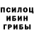 Галлюциногенные грибы Psilocybe Maria_kiki2021