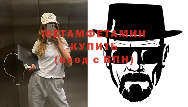 прущие грибы Сатка