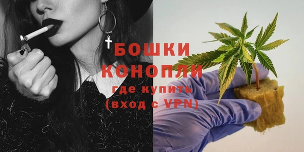прущие грибы Сатка