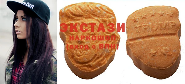 индика Рославль
